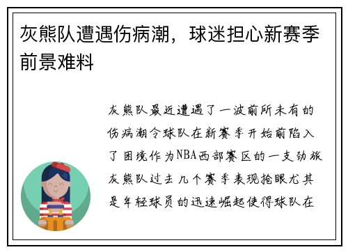 灰熊队遭遇伤病潮，球迷担心新赛季前景难料